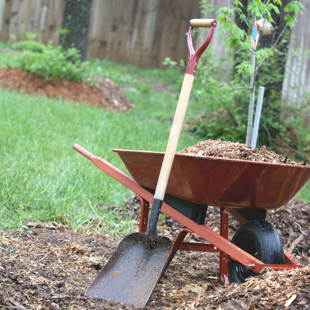 Atlanta Landscaping Projects Made Easy with Yard Waste Dumpsters